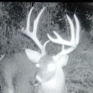 Meet your Posher, Joshua